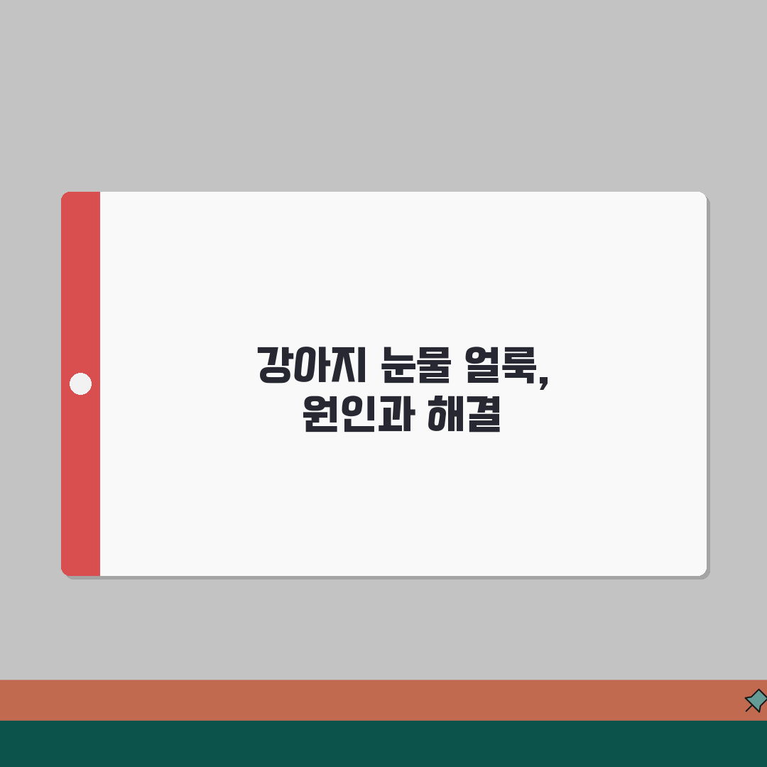 강아지 눈에 눈물 자국 갈색 변색 이유 | 포르피린 | 총정리: 5가지 원인 분석