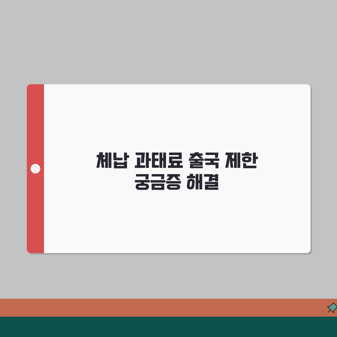 체납 과태료 있으면 출국 안되나요? | 출국규제 기준안내 (+제한금액, 해제방법, 납부절차