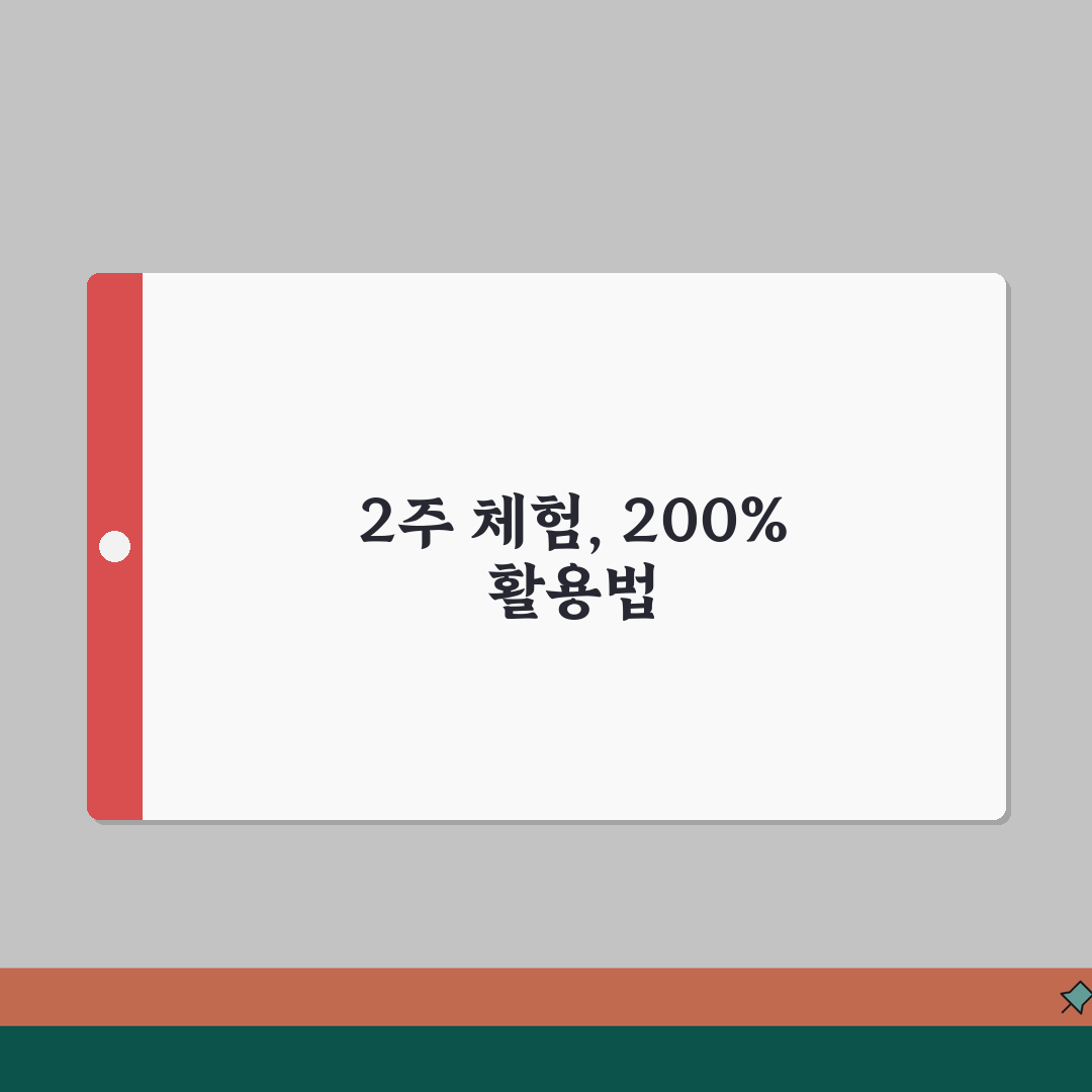 잉글리시아이 무료체험 | 2주 무료체험 신청방법과 학습효과 분석 꿀팁 공유해요!
