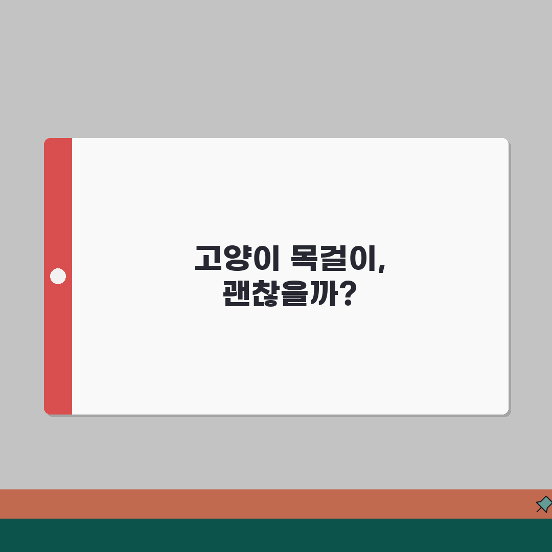 고양이 목에 방울 달아주는게 좋나요 안좋나요 | 고양이 방울 | 스트레스 | 청각 추천!